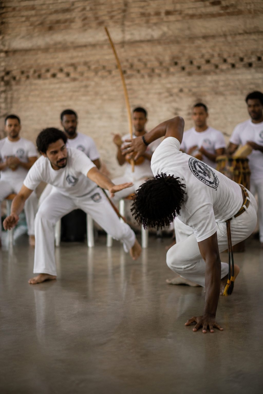 Angola et Regional, deux fa&ccedil;ons de jouer : Capoeira : ce qui se passe vraiment dans une roda